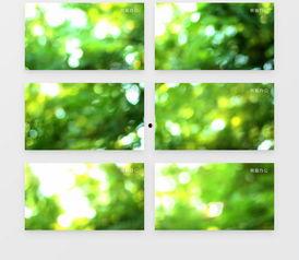 娱乐头条 第3页