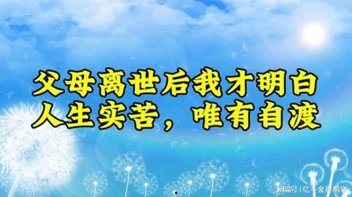 情感语录视频制作,触动心灵的瞬间