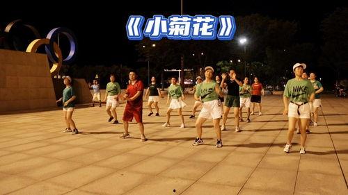 广场舞小菊花视频