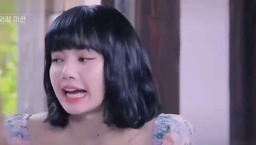 羊酱视频,揭秘美食背后的故事与制作技巧