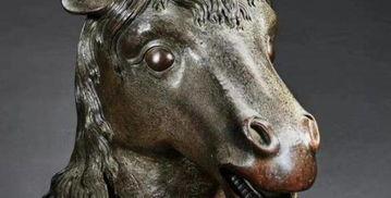 兽首视频,视频揭秘千年文物传奇