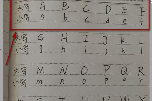 26个音序读法视频,26个音序读法视频精华概述