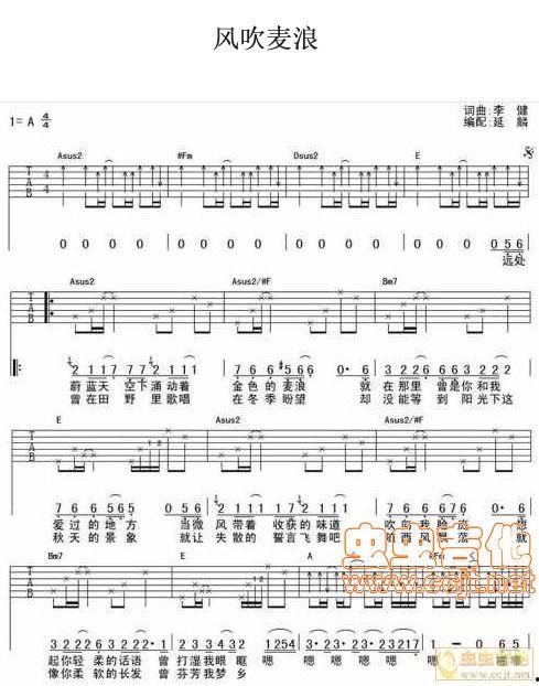 风吹麦浪吉他教学视频