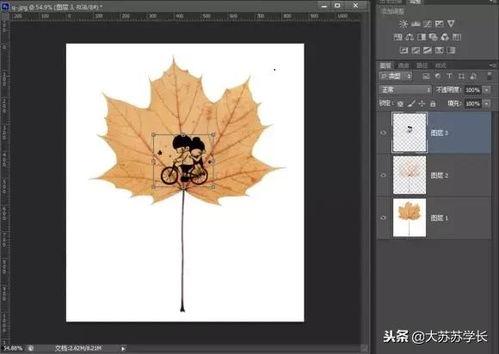 叶雕制作视频,从自然叶片到精美工艺品的蜕变之旅