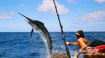 海钓教程视频,轻松掌握海钓技巧与技巧解析