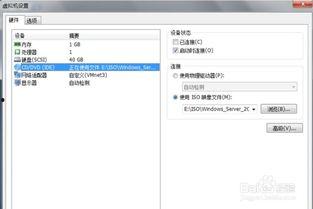 ad域视频教程,深入浅出广告领域必备技能解析