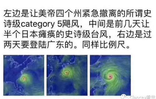 台风形成视频大全,视频大全深度解析