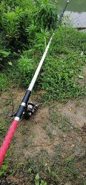 矶杆抛竿视频